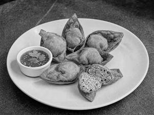 Paneer Crunch Crispy Wontons