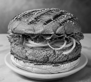 Plain Veg Burger