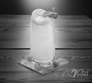 Lemon and Mint Mojito [Nojito]