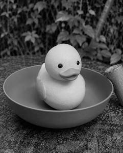 Lucky Duck Big