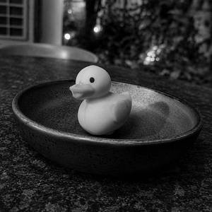 Lucky Duck Small