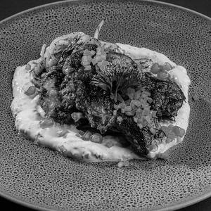 Mint Yogurt Chicken