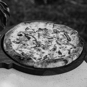 The Funghi