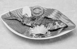 Ayala Fry