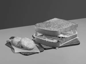 Non Veg Toastie + 1 Side