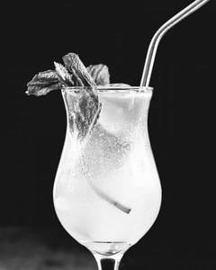 Mojito Mint