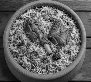 Clay Pot Mutton Biryani
