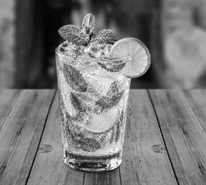 Mojito Mint