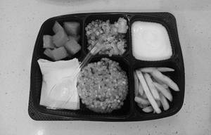 Fasting Thali