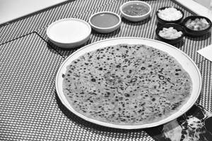 Cheese Corn Capsicum (ccc) Paratha