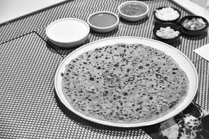 Jain Cheese Corn Capsicum (ccc) Paratha