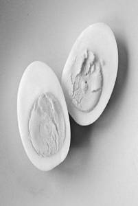 Boiled Egg