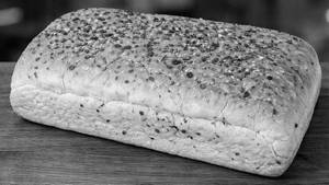 Panini