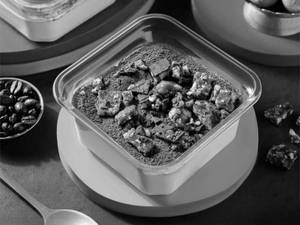 Coffee Rasgulla Tiramisu