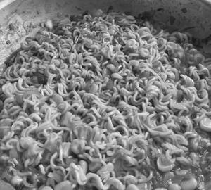 Pahadi Tadka Maggi