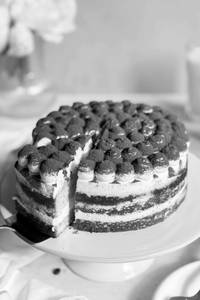 Tiramisu Cake 500G
