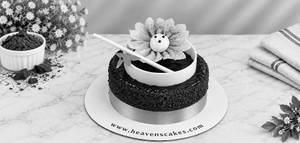 Mini Chocolate Dust Cake [300 Gm]