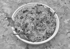 Veg Biryani                                    