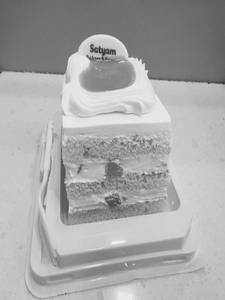 Mango Square Pastry