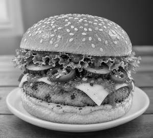 Mexican burger