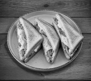 Cheese sandwich