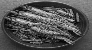 Wang Saeu Gui (grilled Tiger Prawn With Cheese Grill)
