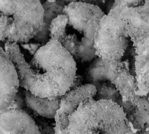 Fried Prawns