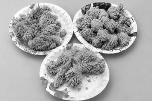 1Pcs. Crespy Chicken Thai + 4Pcs.  Boneless Crespy Chicken + 15 Pcs. Chicken Popcorn