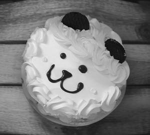 Teddy bear cake