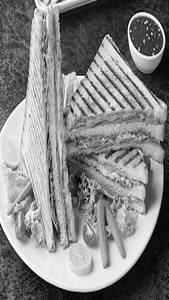 Pilot Chef Special Grill Sandwich