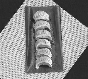 Paneer steam momos [6 pieces]
