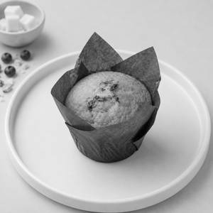 Blueberry Muffin