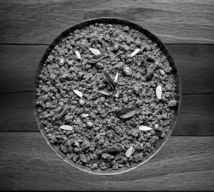 Special Vagharelo Rotlo Dry [500 Grams]