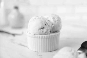 Venila Scoop 2