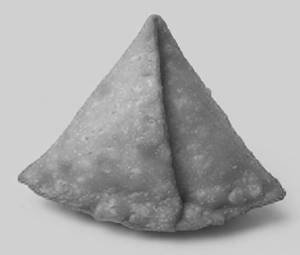Samosa (1 Piece)