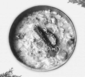 Khichdi With Chokha