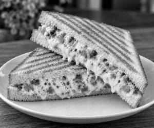 Veg cheese sandwich