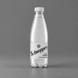 Schweppes Mineral Water (500 Ml)