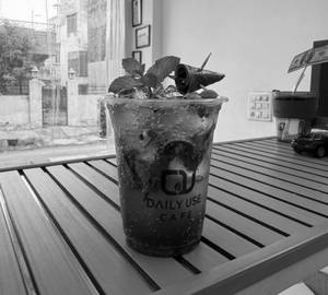 Paan mojito