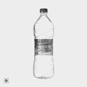 Aquafina Water (1.0 L) Pet