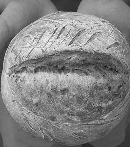 Olive And Garlic Sordough Bread