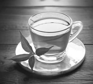 Lipton Green Tea