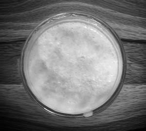 Mango Milk Shake ( 350Ml )