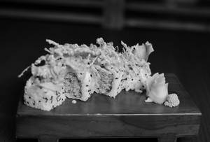 ENOKI MUSHROOM ROLL VEG