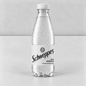 Schweppes Mineral Water (500 Ml)