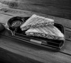 2 paneer cheese grilled sandwich