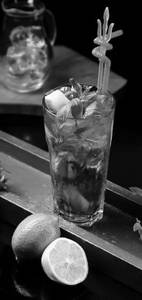 Mojitoo
