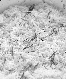Biryani Rice