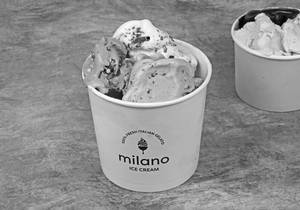 Gelato To Go 750Gms (3 Flavours)