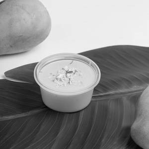 Mango Pudding